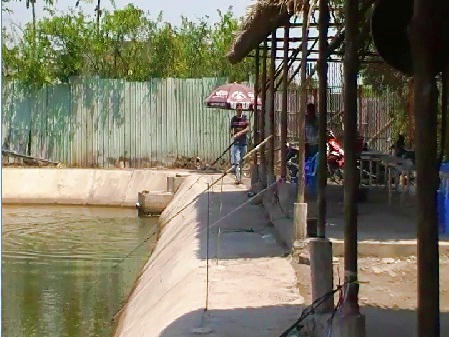 "Tuyệt chiêu" làm khách "nghiện" câu cá giải trí giữa Sài thành